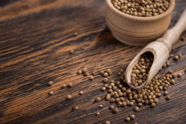 خرید و قیمت تخم گشنیز تازه + فروش عمده